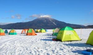 フロストフラワー,条件,阿寒湖,ツアー